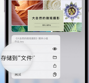 美溪apple维修中心分享iPhone文件应用中存储和找到下载文件