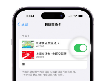 美溪apple维修点分享iPhone上更换Apple Pay快捷交通卡手绘卡面 