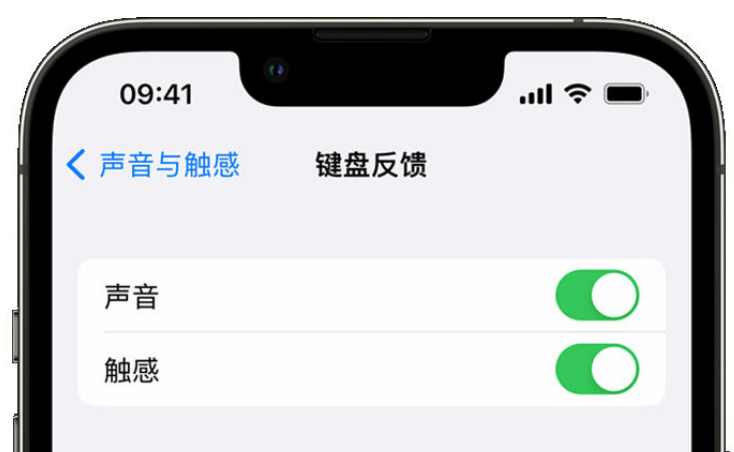 美溪苹果手机维修分享iPhone 14触感键盘使用方法 