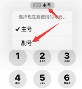 美溪苹果14维修店分享iPhone 14 Pro Max使用副卡打电话的方法 