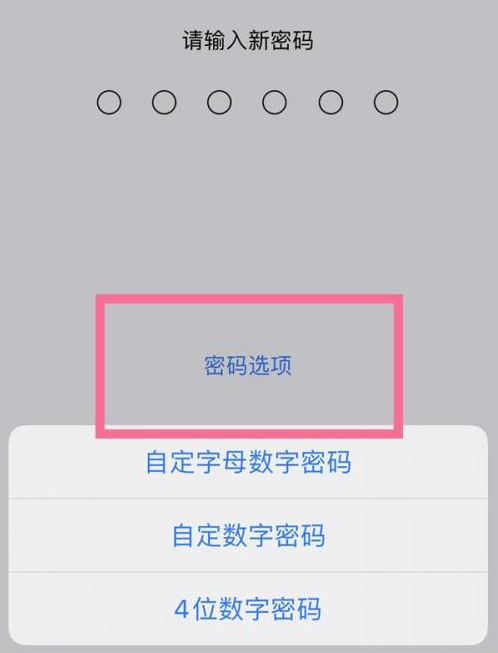 美溪苹果14维修分享iPhone 14plus设置密码的方法 