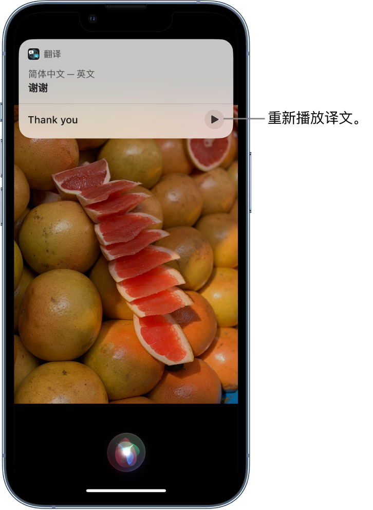 美溪苹果14维修分享 iPhone 14 机型中使用 Siri：了解 Siri 能帮你做什么 