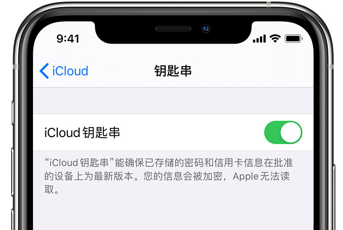 美溪苹果手机维修分享在 iPhone 上开启 iCloud 钥匙串之后会储存哪些信息 