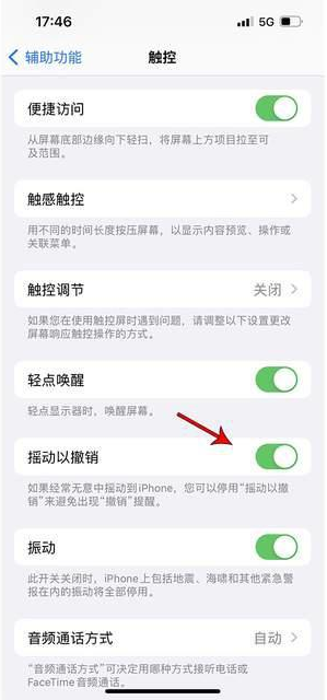 美溪苹果手机维修分享iPhone手机如何设置摇一摇删除文字 